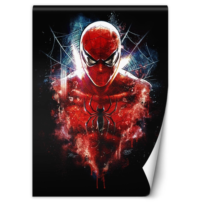 OBRAZ SPIDER MAN PAJĄK ARTIST NA PŁÓTNIE + RAMA